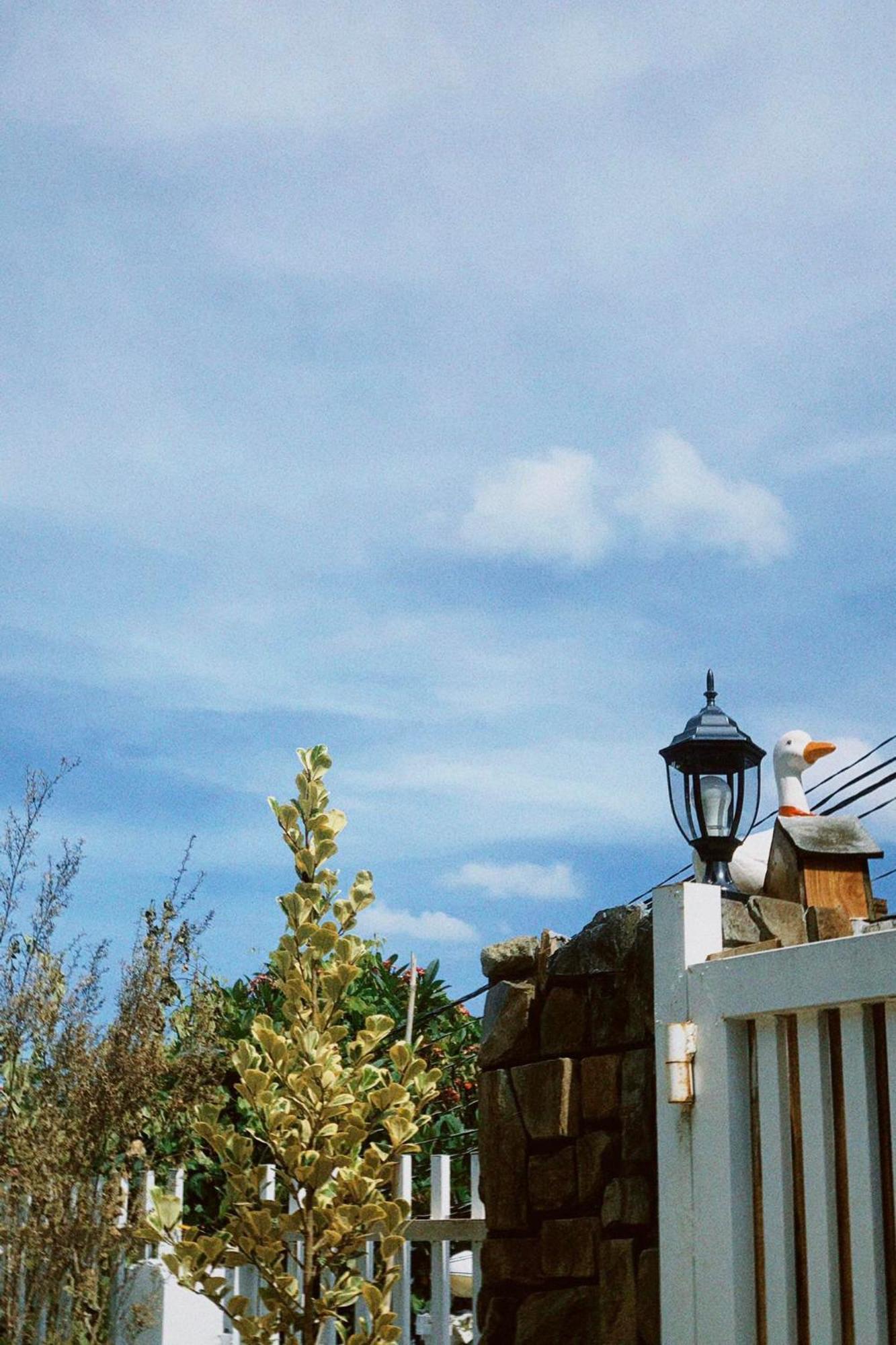 Chai Nho Homestay Νταλάτ Εξωτερικό φωτογραφία